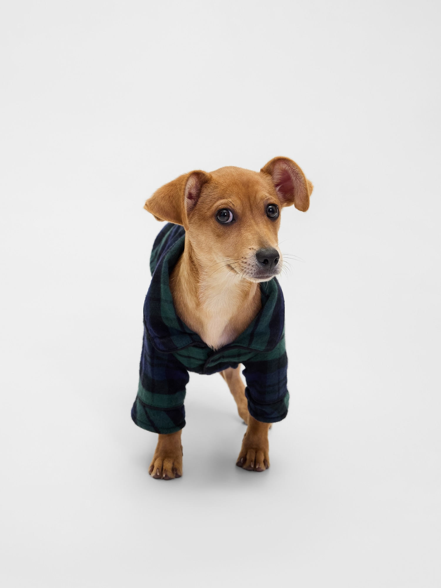 Flannel Pet PJs - Black Watch Plaid