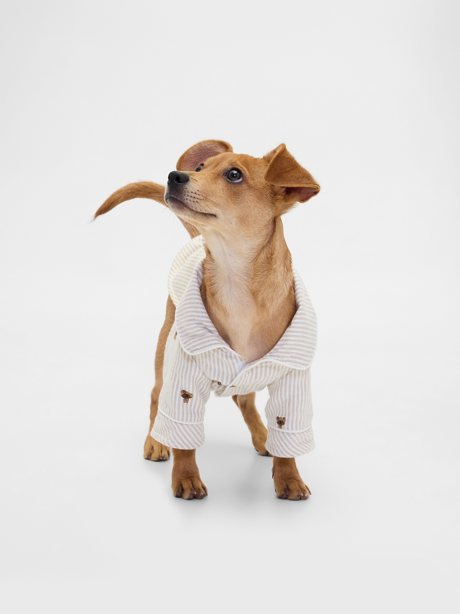 Flannel Pet PJs - Brannan Bear