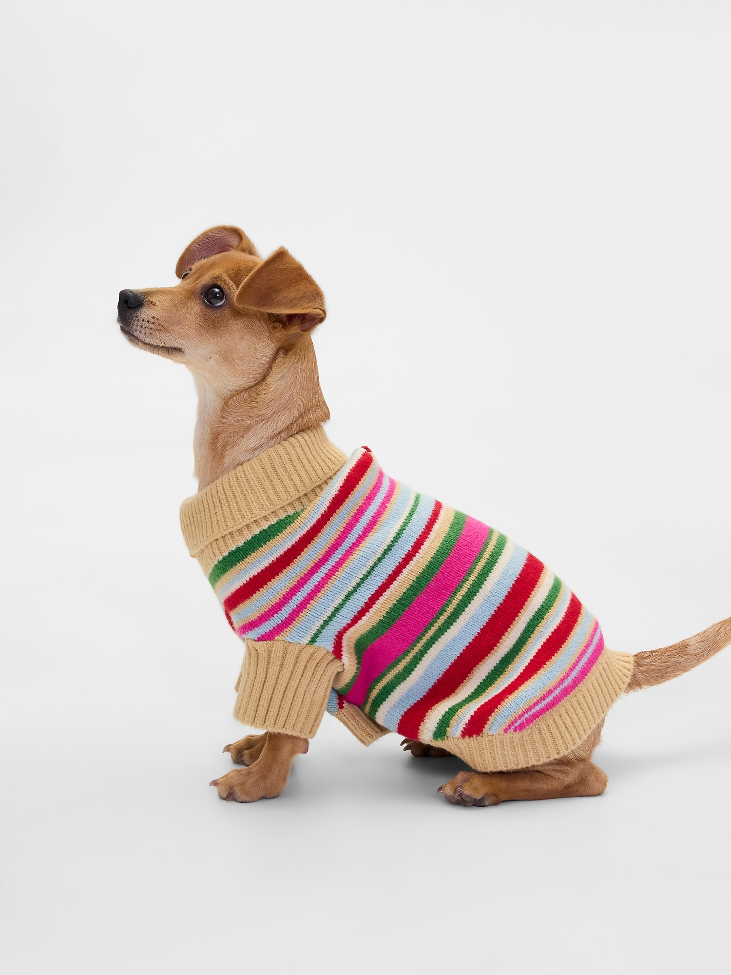 Pet CashSoft Sweater