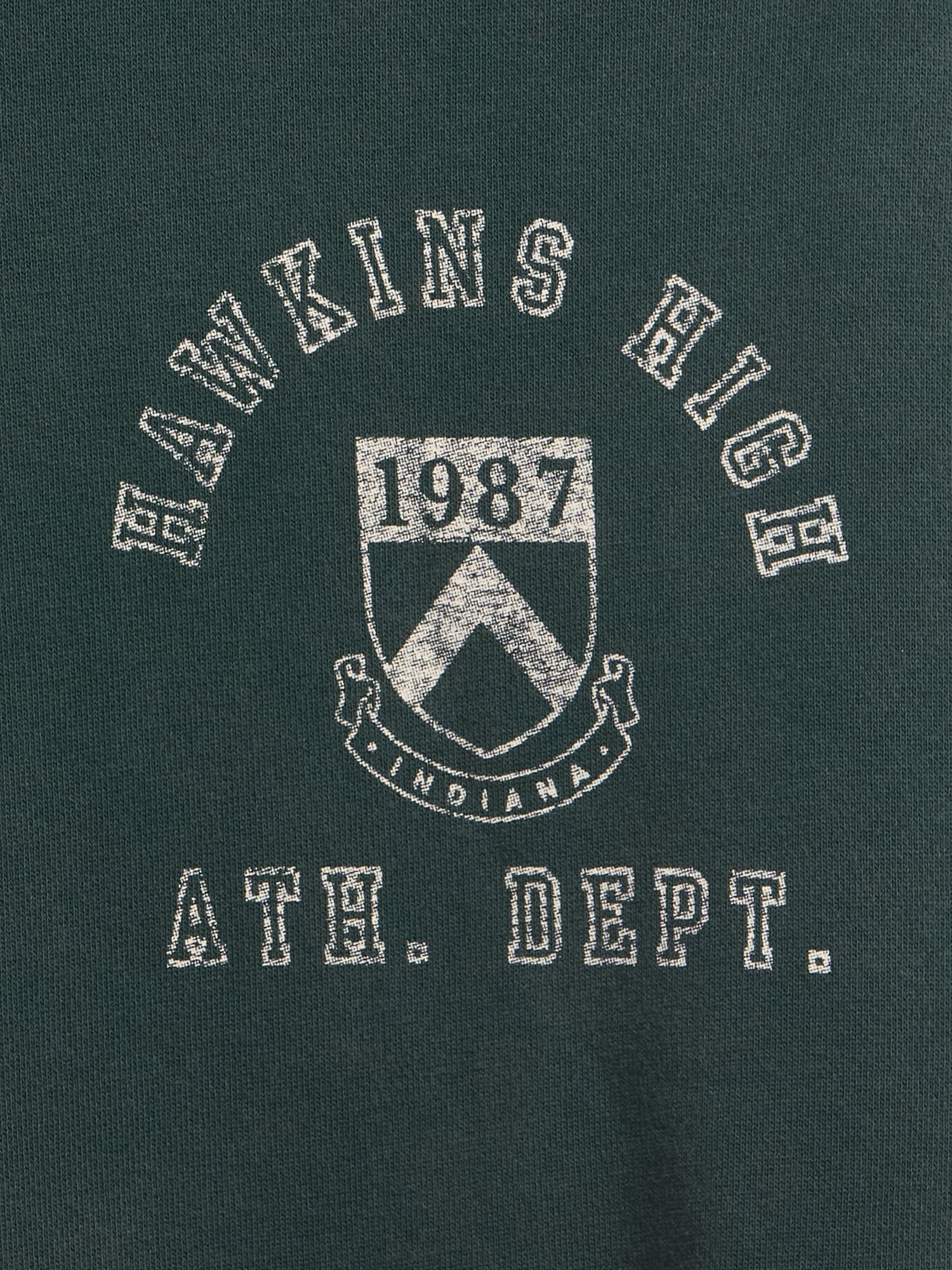 Stranger Things Adult Heavyweight Hoodie