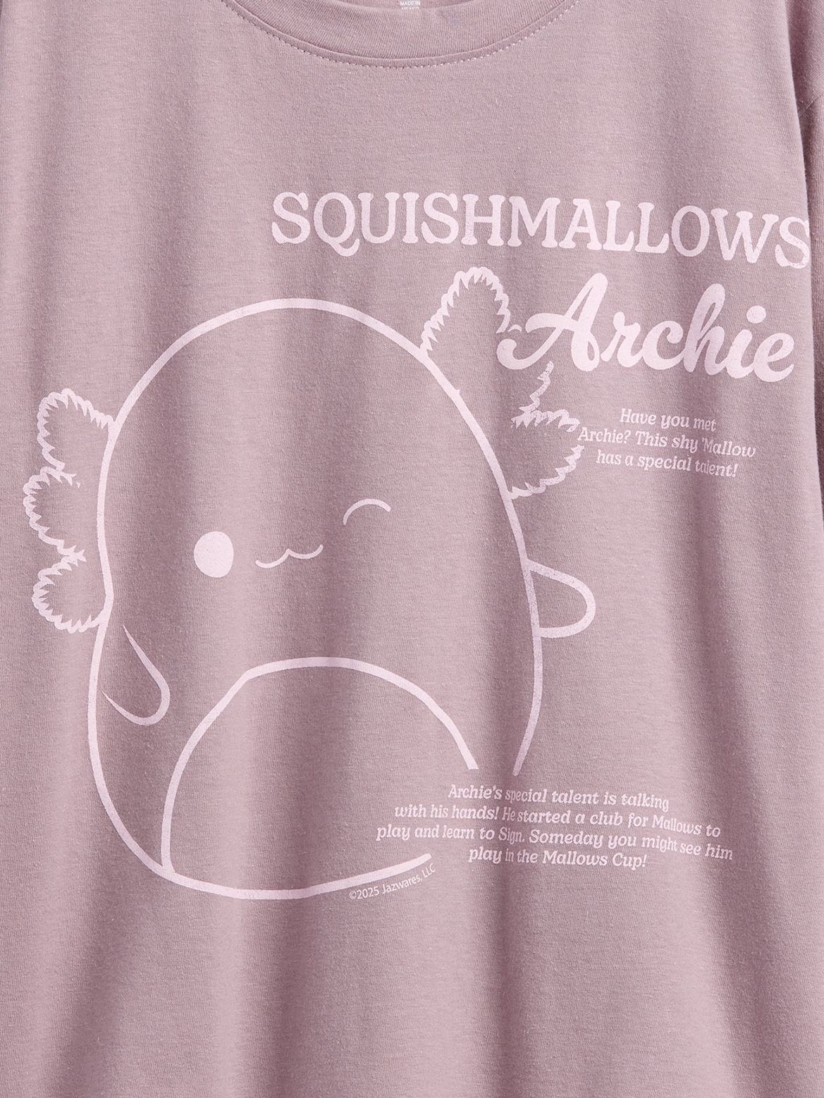 Kids Squishmallow Oversized Graphic T-Shirt