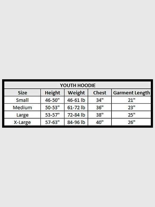 Image number 4 showing, Kids NFL Signature Script Pullover Hoodie