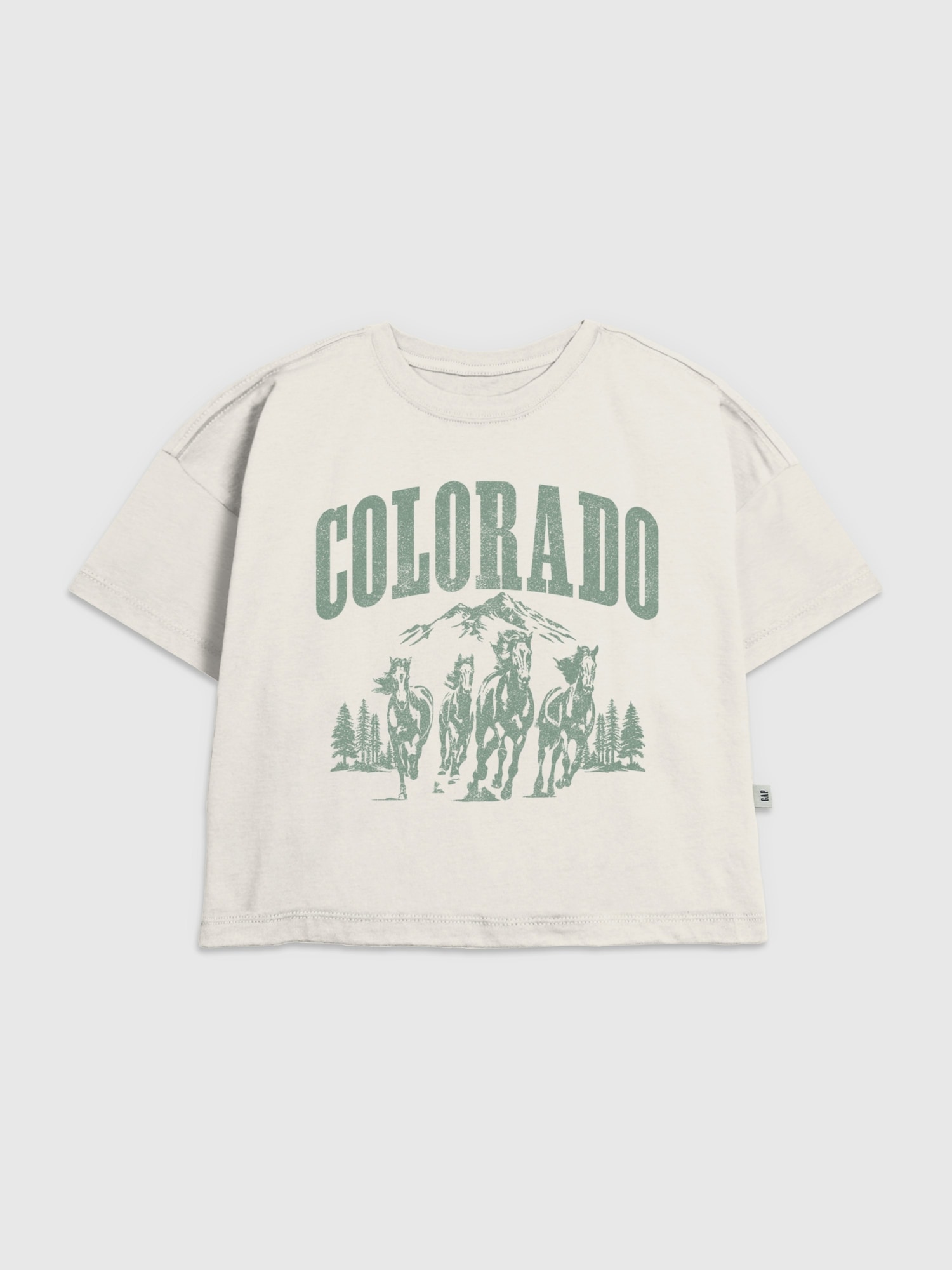 Kids Colorado Horses Graphic T-Shirt