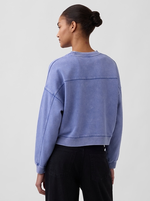 Image number 3 showing, VintageSoft Wedge Crewneck Sweatshirt