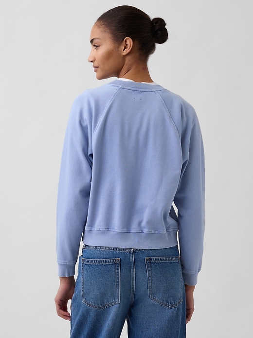 French Terry Raglan Sweatshirt