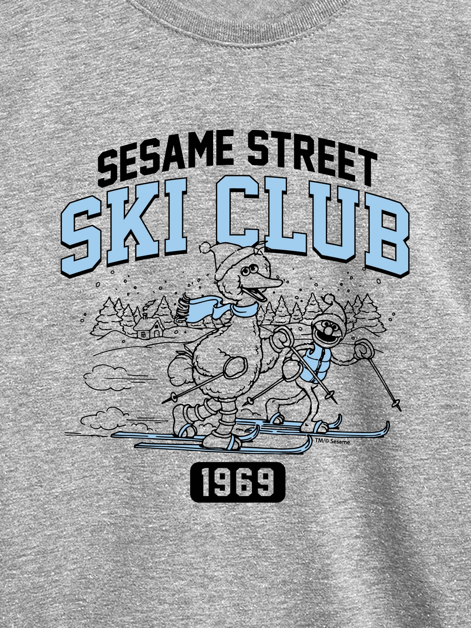 Toddler Sesame Street Big Bird Ski Club Long Sleeve Tee