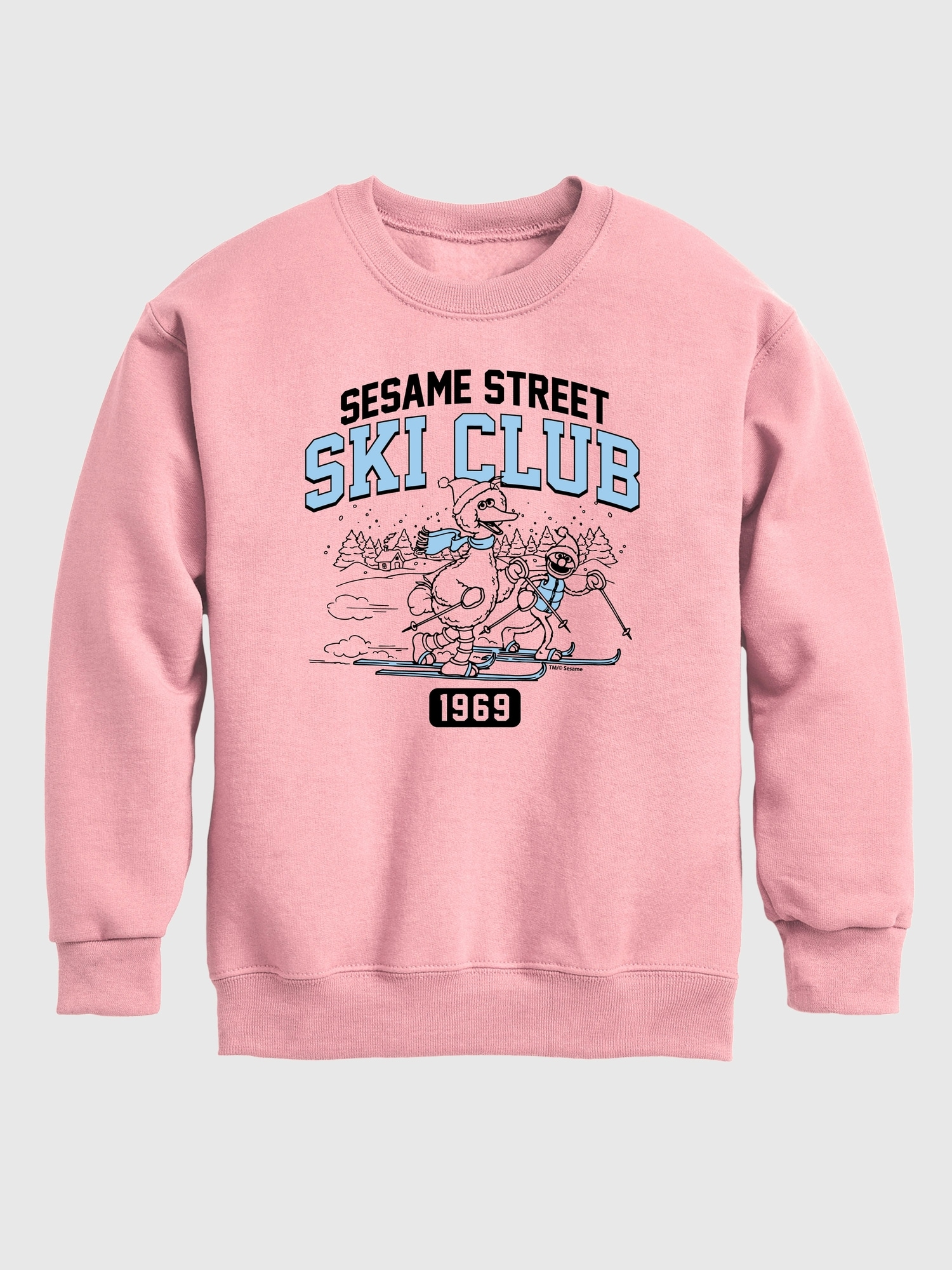 Toddler Sesame Street Big Bird Ski Club Crew Fleece