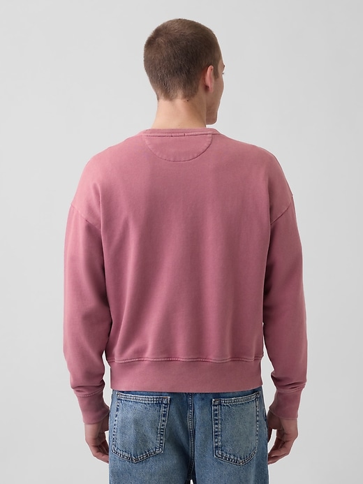 Image number 3 showing, Heavyweight French Terry Oversized Sweatshirt