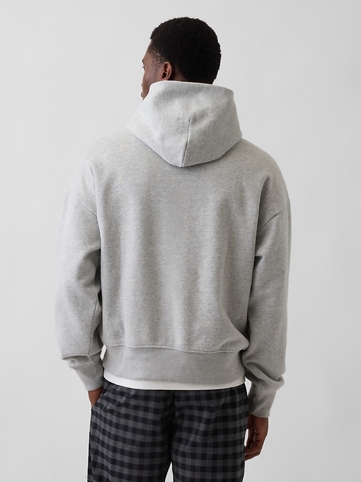 Image number 3 showing, VintageSoft NAP Logo Hoodie