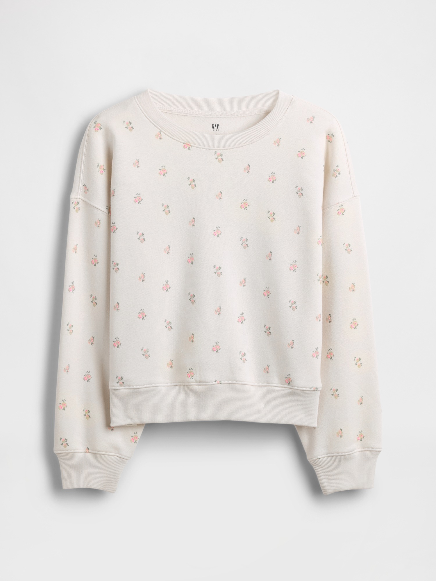Детские толстовки Gap VintageSoft Wedge Crewneck, цвет: С принтом — фото 2