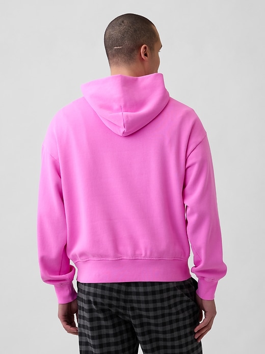 Image number 3 showing, VintageSoft NAP Logo Hoodie