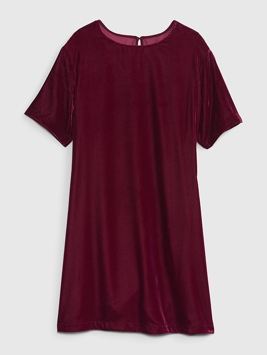 Velvet T-Shirt Dress