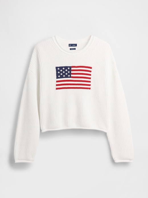 Image number 5 showing, Crochet Oversized Americana Crop Sweater