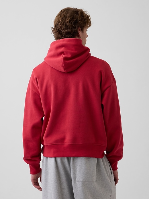 Image number 3 showing, Adult VintageSoft NAP Logo Hoodie