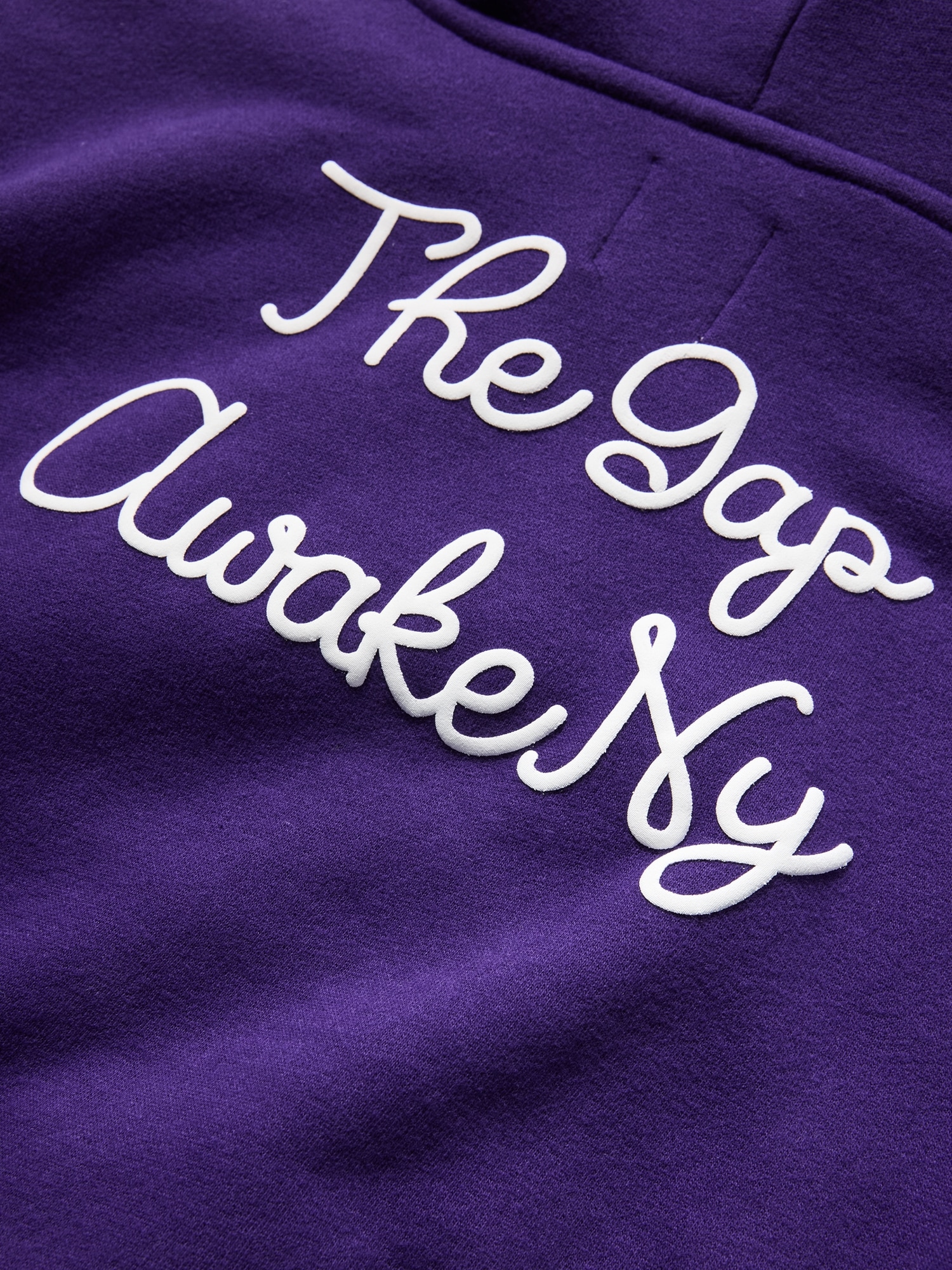 Gap × Awake NY Toddler VintageSoft Logo Hoodie