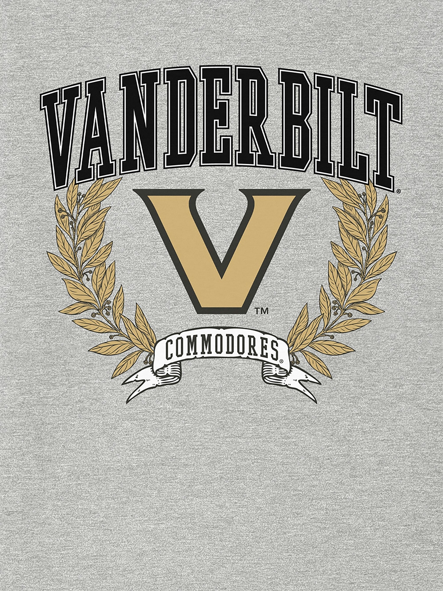 Мужская футболка Gap Vanderbilt University Laurels с принтом — фото 2