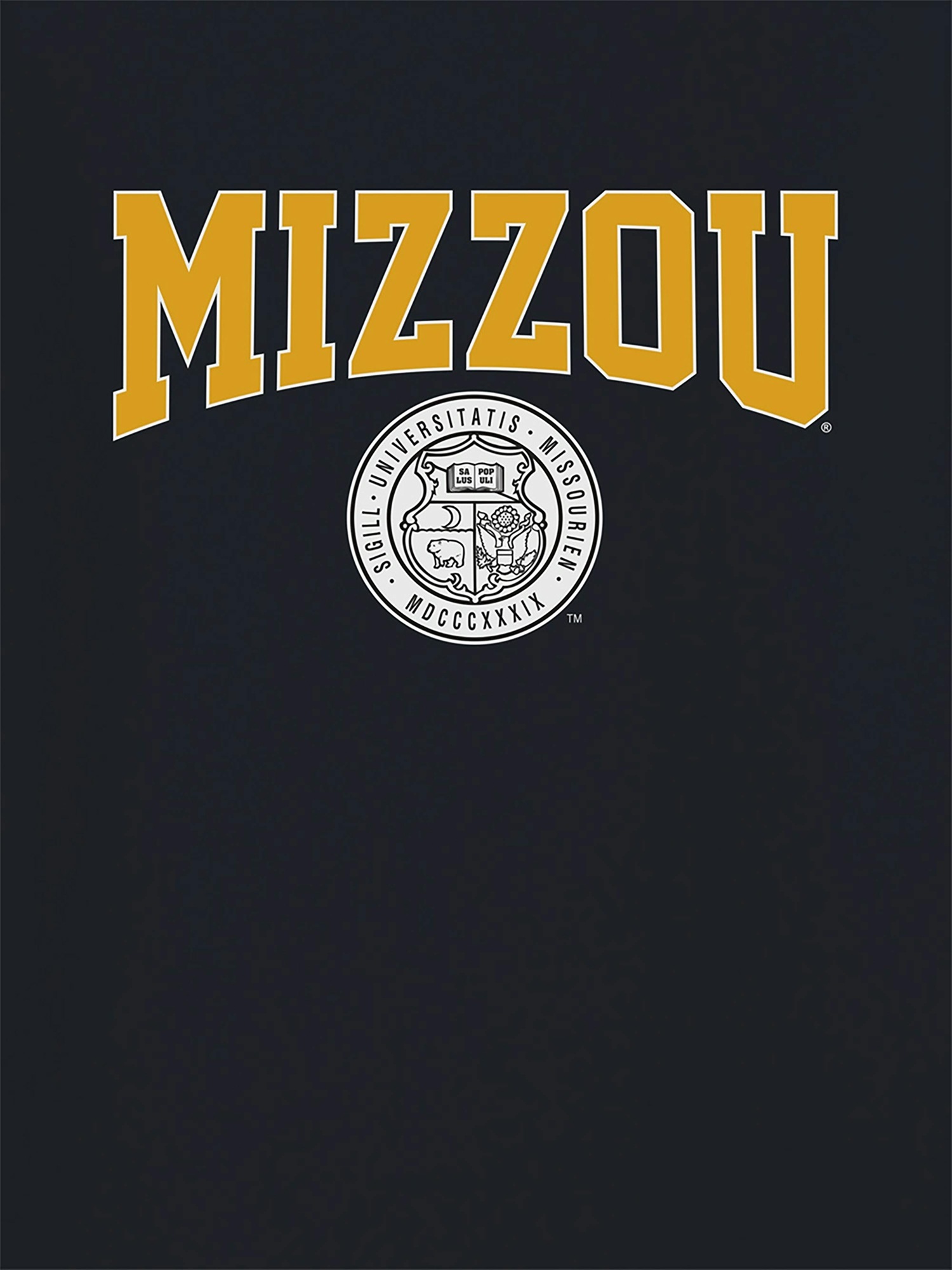 Мужская футболка Gap University of Missouri Collegiate Seal — фото 2