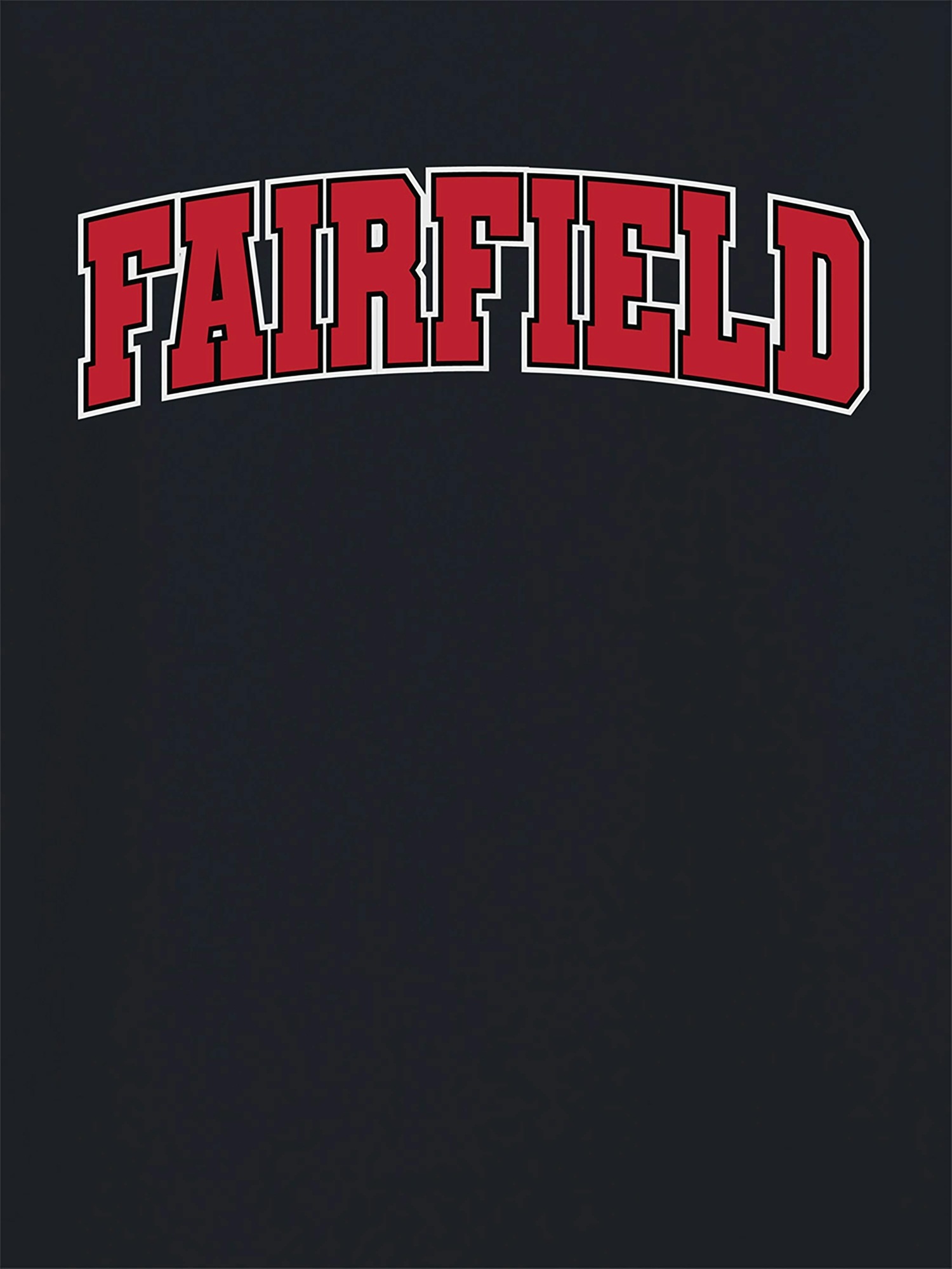 Мужская футболка Gap Fairfield University Arch Logo с принтом — фото 2
