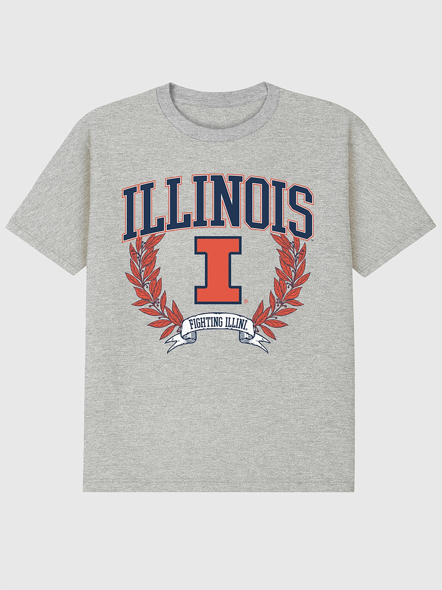 Мужская футболка Gap University of Illinois Laurels