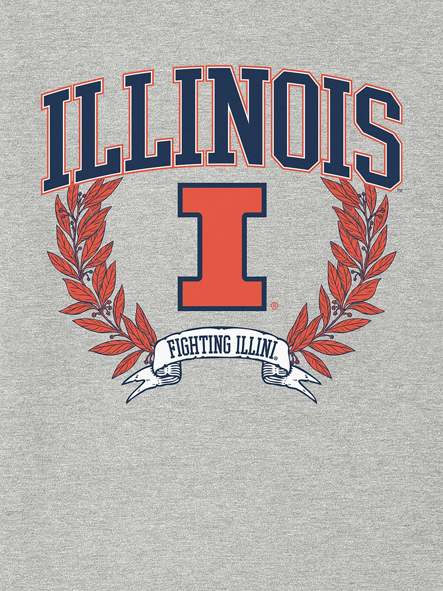 Мужская футболка Gap University of Illinois Laurels — фото 2
