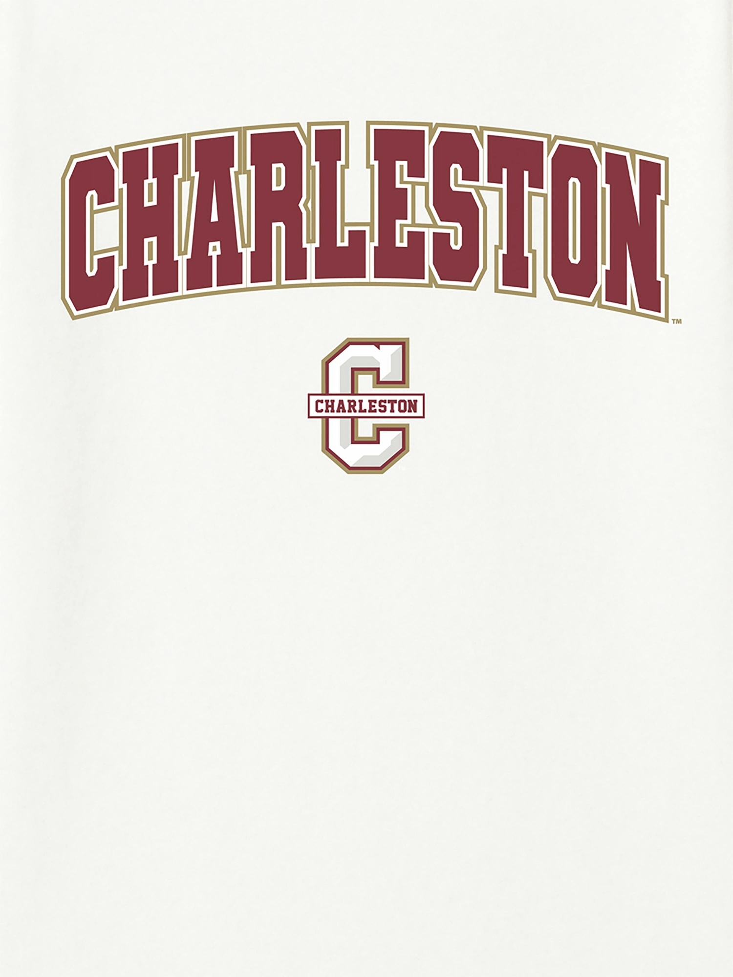 Мужская футболка Gap College of Charleston с логотипом — фото 2