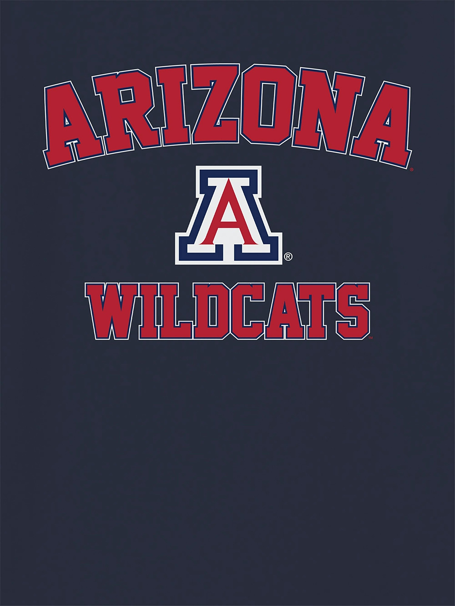 Мужская футболка Gap University of Arizona Campus Classic — фото 2