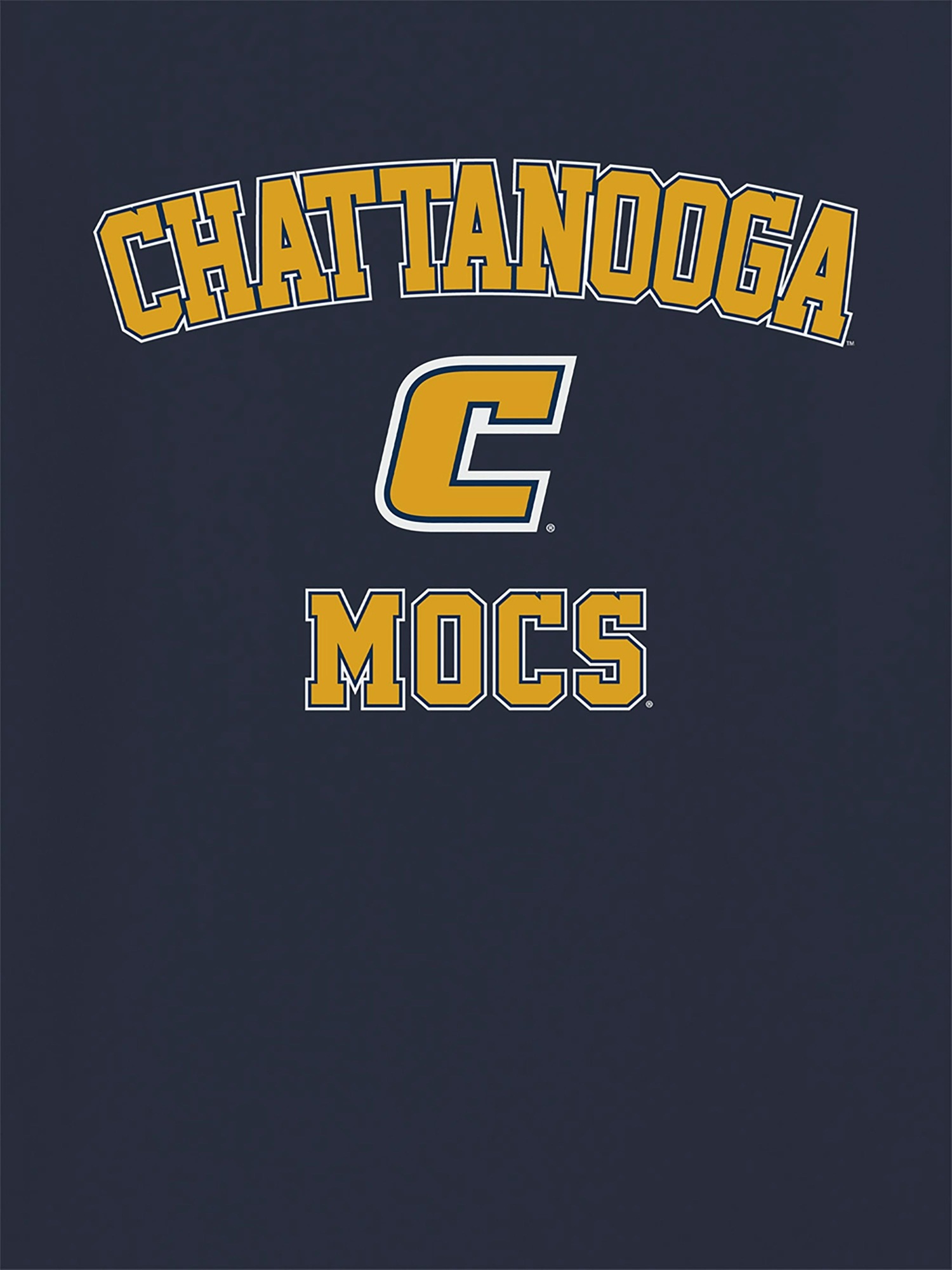 Мужская футболка Gap University of Tennessee at Chattanooga Campus Classic — фото 2