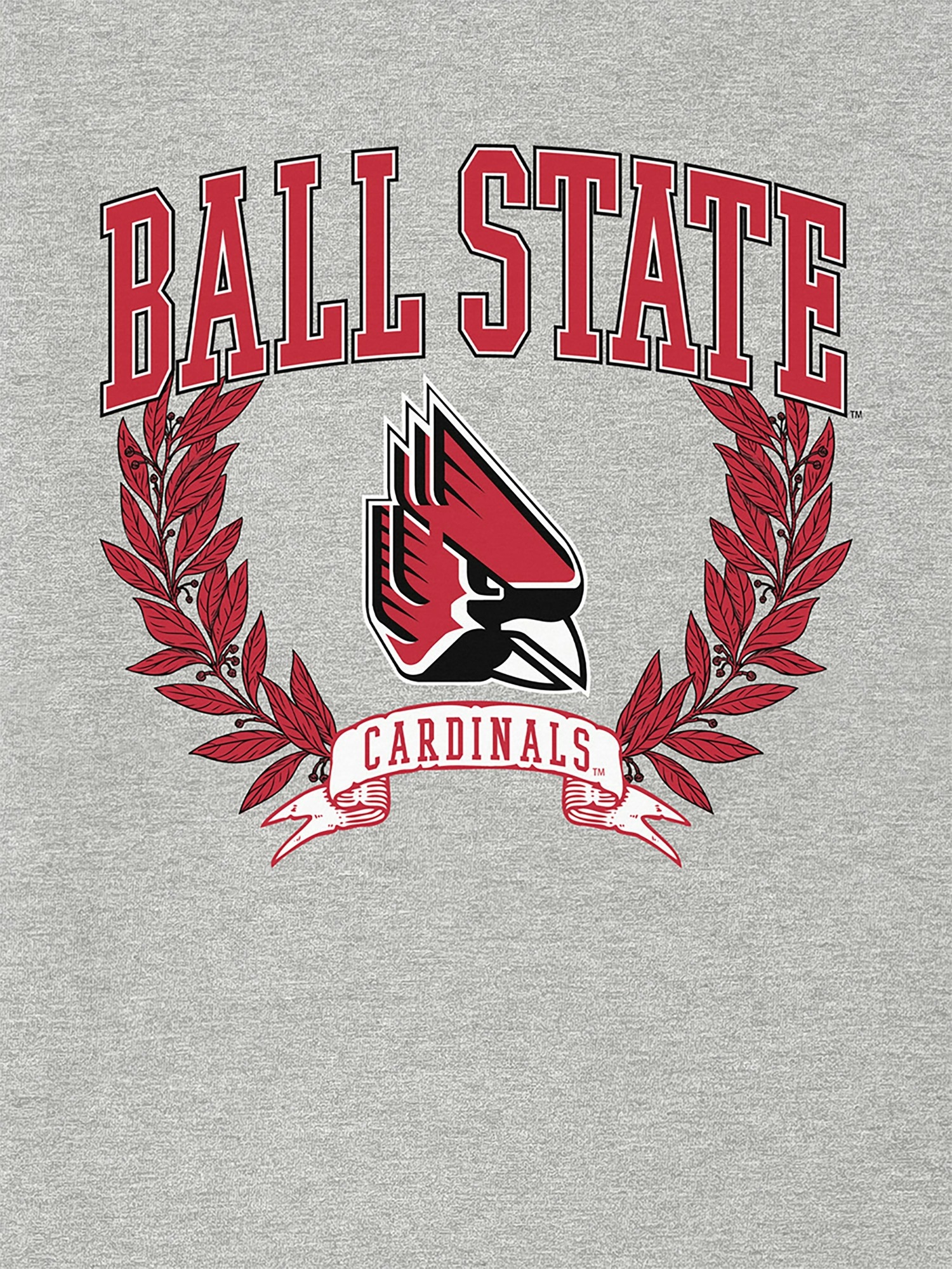 Мужская футболка Gap Ball State University Laurels — фото 2