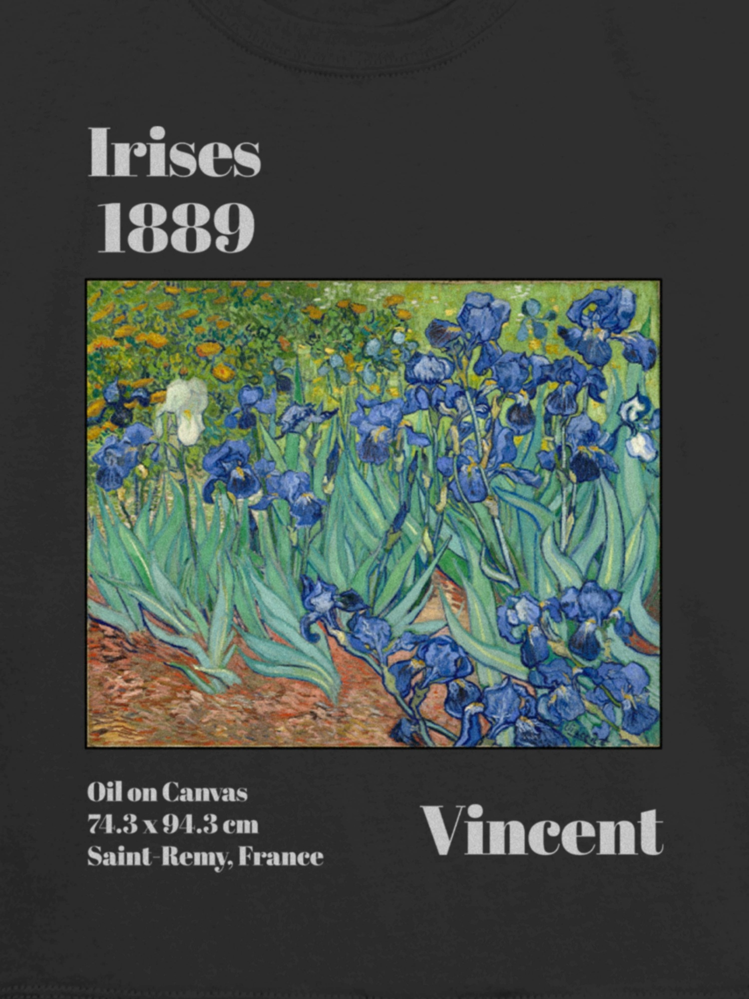 Детская футболка Gap Van Gogh Irises Graphic, цвет: Moonless Night — фото 3