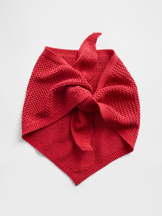 Crochet Scarf from GAP - $39.95