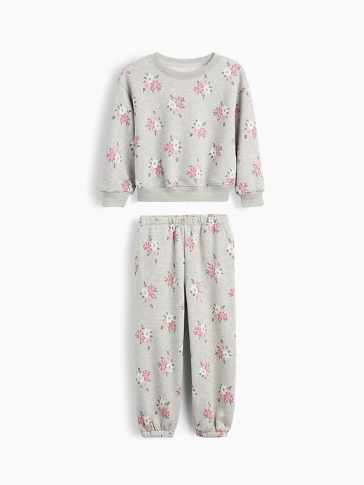 Image number 1 showing, Baby & Toddler VintageSoft Floral Sweat Set