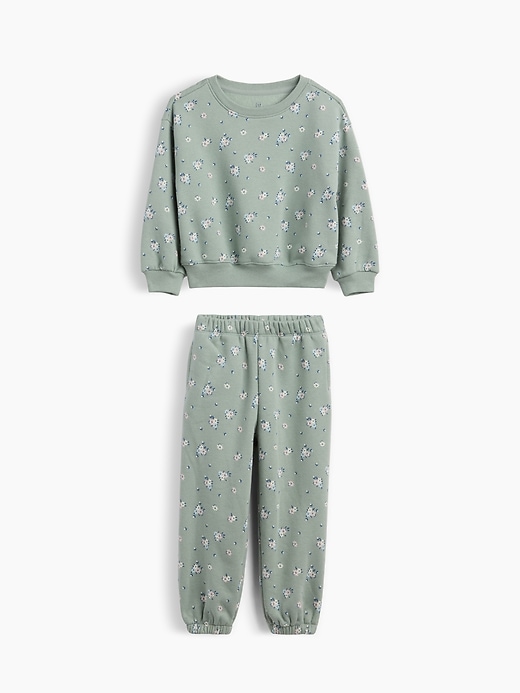 Image number 1 showing, Baby & Toddler VintageSoft Floral Sweat Set