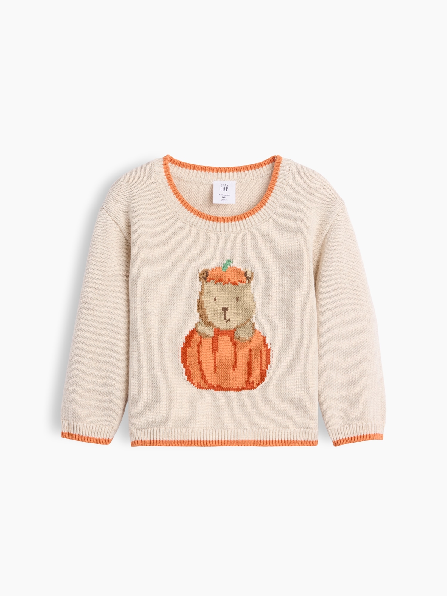 Baby Brannan Bear Pumpkin Sweater