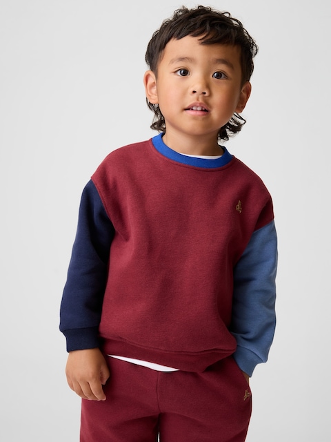Baby & Toddler VintageSoft Colorblock Sweatshirt