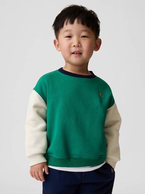 Baby & Toddler VintageSoft Colorblock Sweatshirt