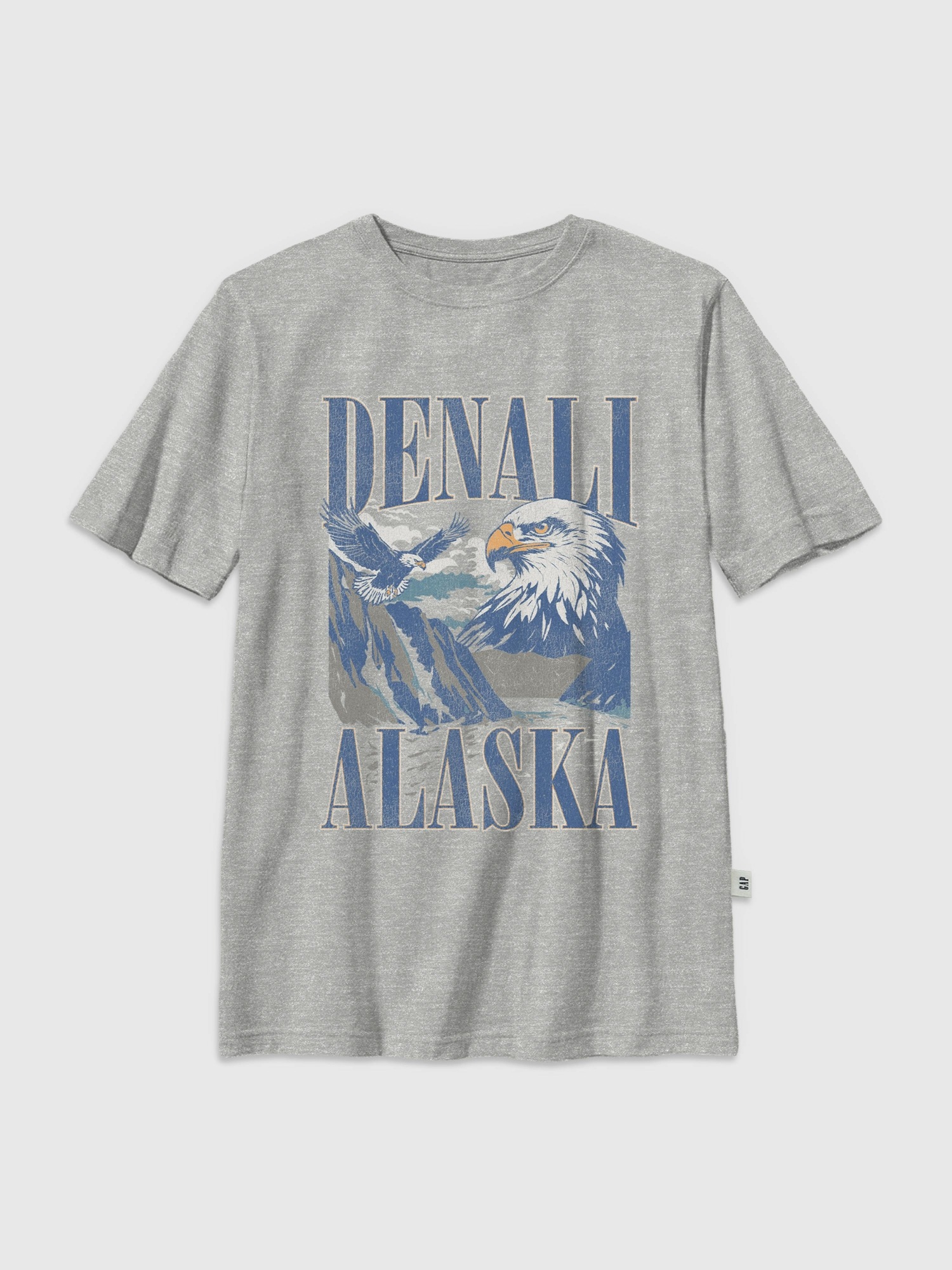 Детские футболки Gap Kids Denali Alaska Graphic T-Shirt