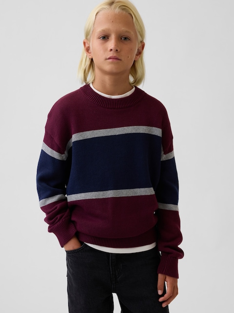 Kids 100% Cotton Relaxed Crew Sweater