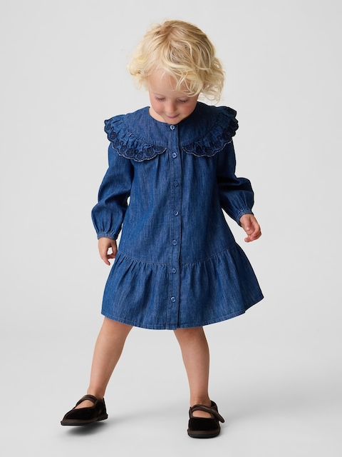 Baby & Toddler Denim Drop-Waist Dress