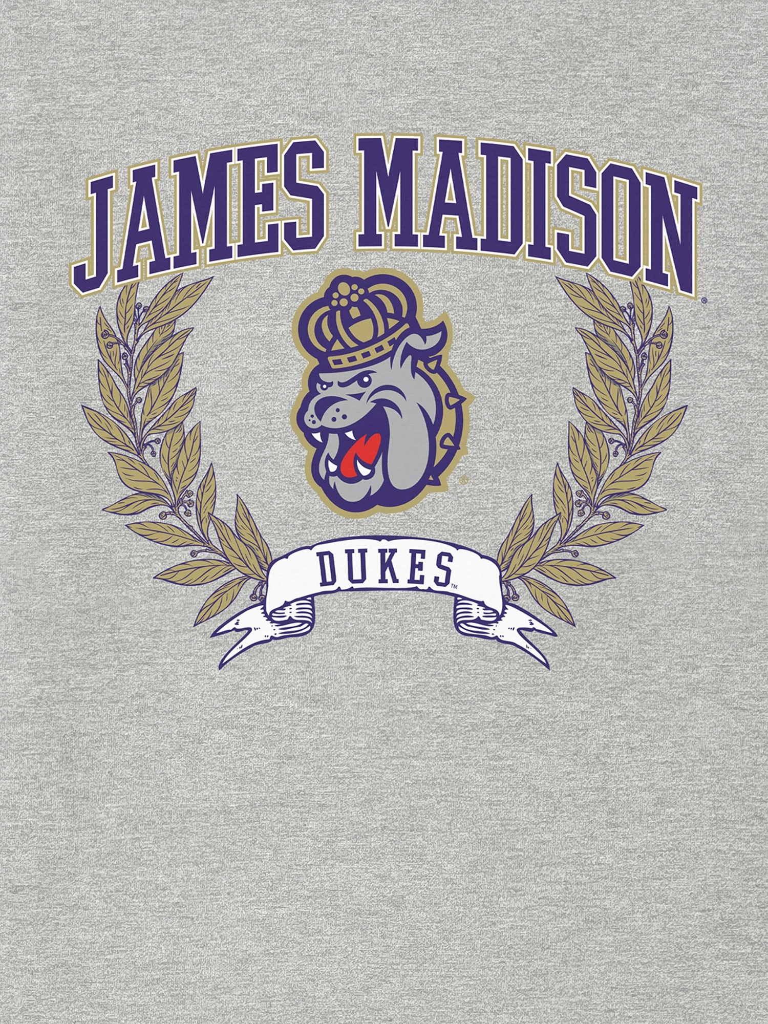 Мужская футболка Gap James Madison University Laurels Dark Graphic, цвет: Меланжевый — фото 2
