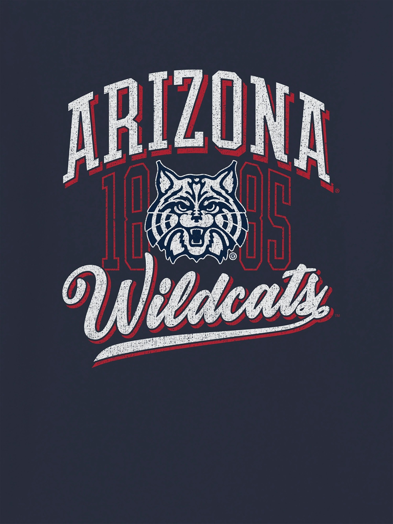 Мужская футболка Gap The University of Arizona Classic Vintage Script Emblem Graphic, цвет: Тёмно-синий — фото 2