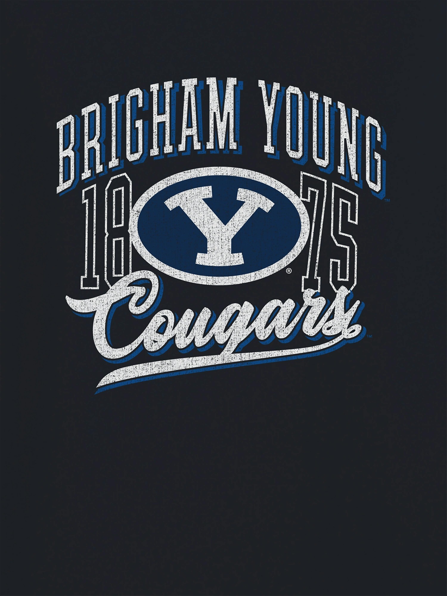 Мужская футболка Gap Brigham Young University Classic Vintage Script Emblem Dark Graphic, цвет: Чёрный — фото 2