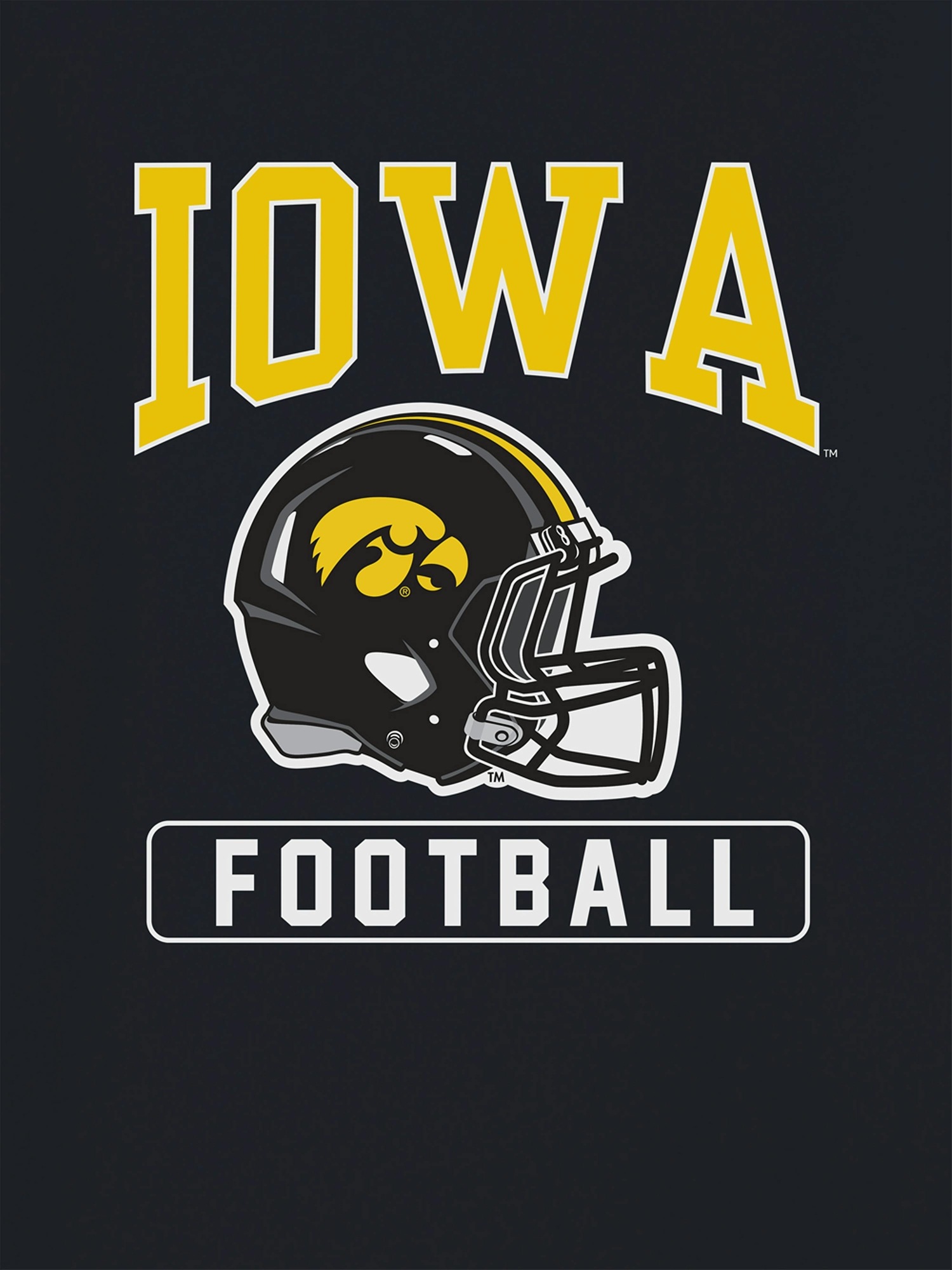 Мужская футболка Gap University Of Iowa Football Helmet Graphic, цвет: Чёрный — фото 2