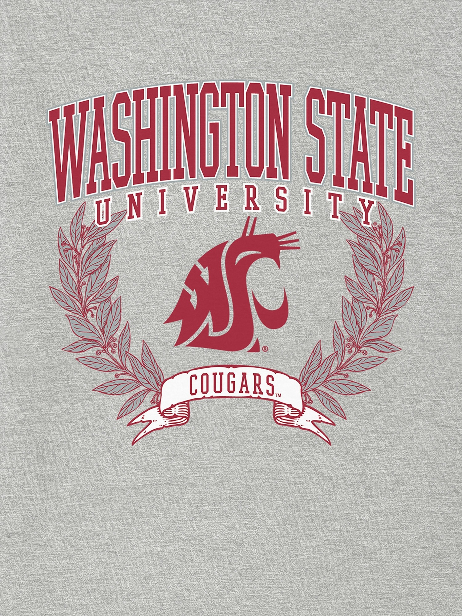 Мужская футболка Gap Washington State University Laurels Dark Graphic, цвет: Меланжевый — фото 2