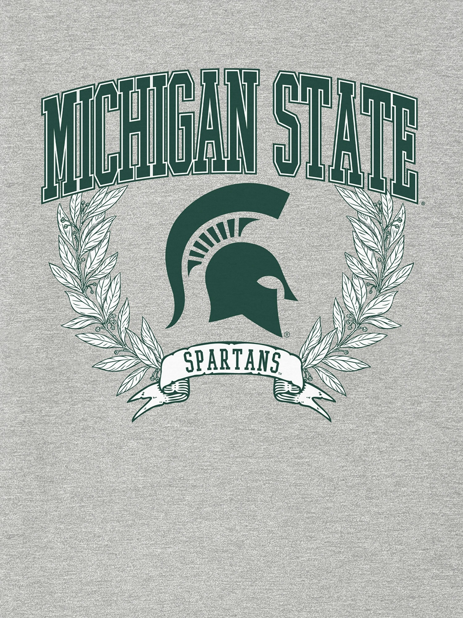 Мужская футболка Gap Michigan State University Laurels Dark Graphic, цвет: Меланжевый — фото 2