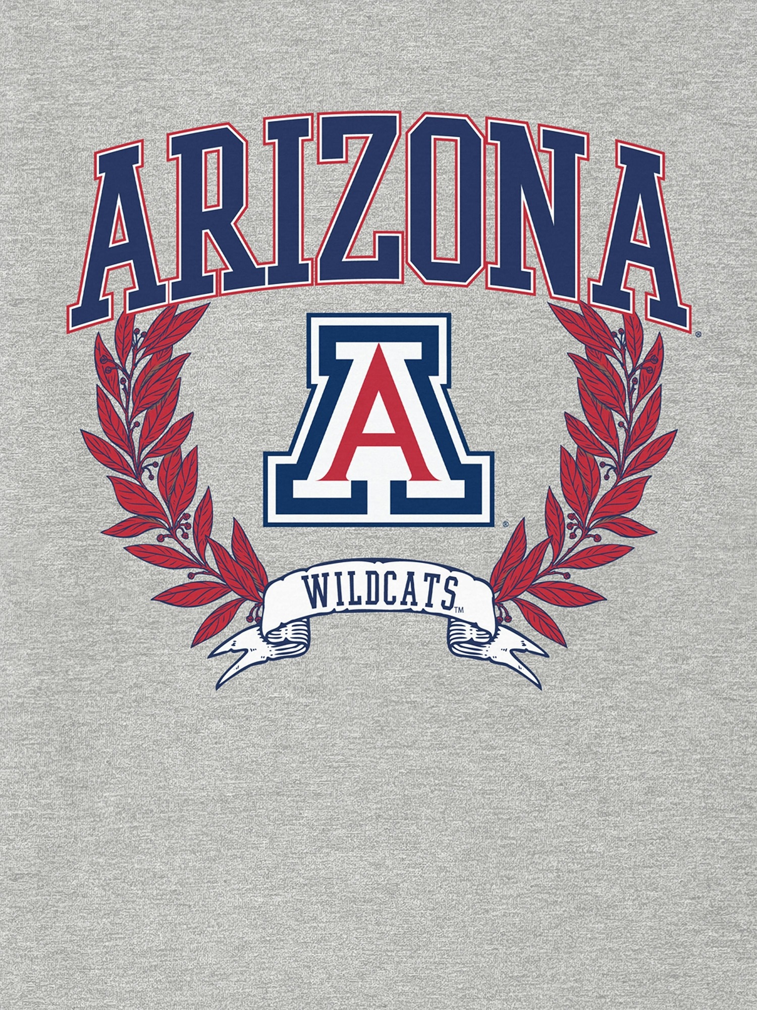 Мужская футболка Gap The University of Arizona Laurels Dark Graphic, цвет: Меланжевый — фото 2