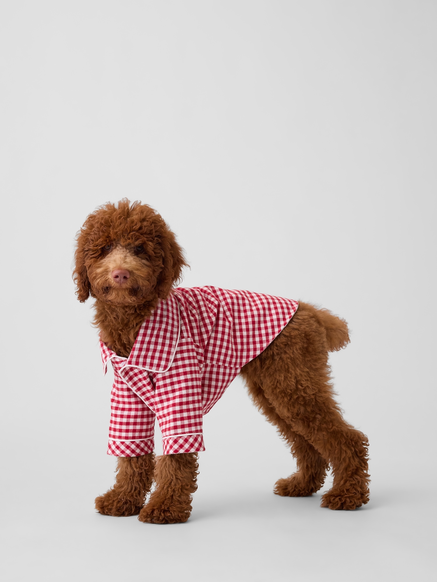 Pet Softest Flannel PJ One-Piece